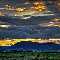 Buy canvas prints of Dramatic evening sky over Orkney farmland by Robert Murray
