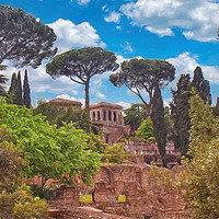 Buy canvas prints of The Roman Forum by Robert Murray