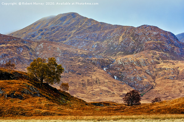 Lonely Trees in the Hills Picture Board by Robert Murray