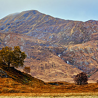 Buy canvas prints of Lonely Trees in the Hills by Robert Murray