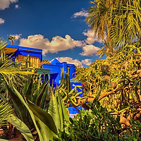 Buy canvas prints of The Blue Villa, Jardin Majorelle, Marrakesh. by Robert Murray