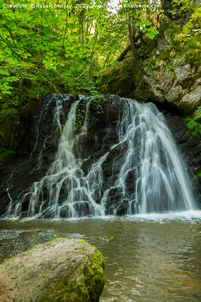 Waterfall in Fairy Glen Picture Board by Robert Murray