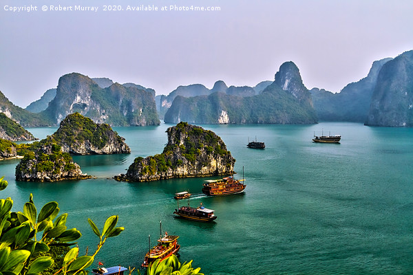 Halong Bay, Vietnam. Picture Board by Robert Murray
