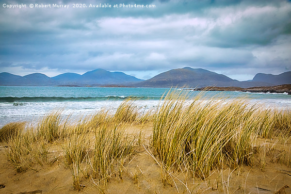 Sand Dunes at Luskentyre Picture Board by Robert Murray