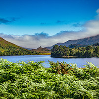 Buy canvas prints of Highland Loch with Island by Robert Murray