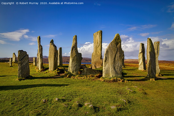 Standing Stones of Callanish Picture Board by Robert Murray