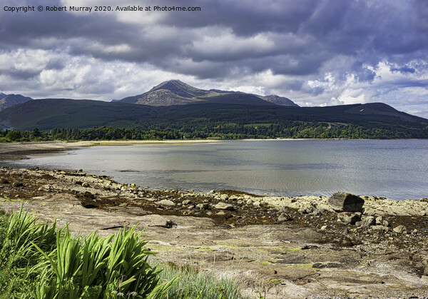 Brodick Bay and Goat Fell, Arran Island. Picture Board by Robert Murray