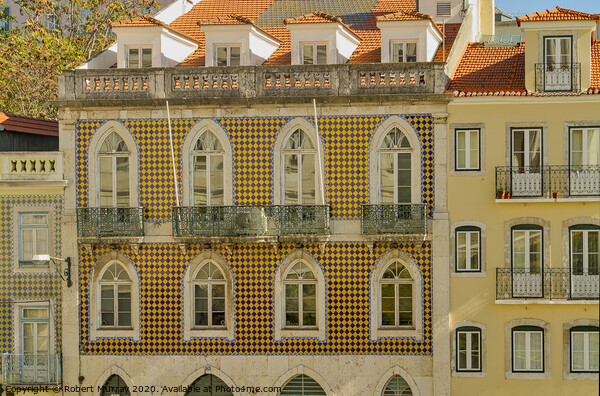 Windows and Balconies, Lisbon. Picture Board by Robert Murray