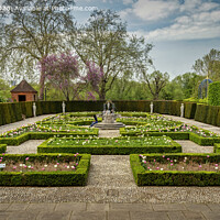 Buy canvas prints of Tulip Parterre by Robert Murray