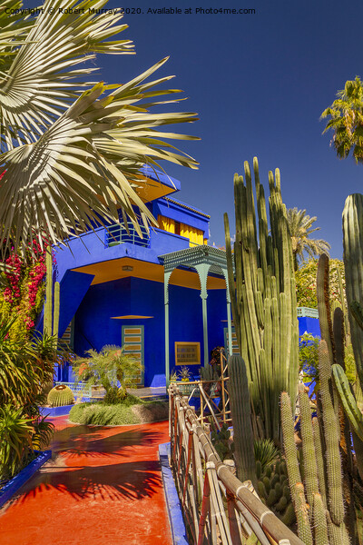 Villa Majorelle, Marrakesh, Morocco. Picture Board by Robert Murray