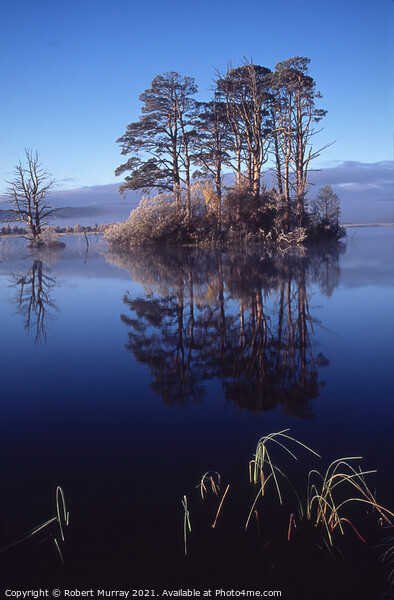Reflections on Loch Mallachie, Scotland. Picture Board by Robert Murray