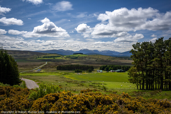 The Cairngorms from the Snow Road Picture Board by Robert Murray