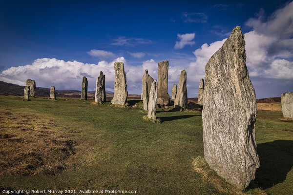 Callanish Stones on Isle of Lewis Picture Board by Robert Murray