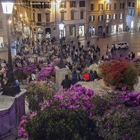 Buy canvas prints of Piazza di Spagna and the Spanish Steps by Robert Murray