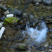 Buy canvas prints of Small Creek   by Michael Wick