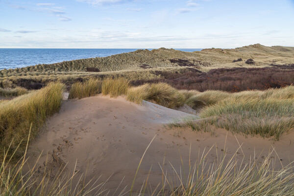 Formby sand dunes seascape Picture Board by Jason Wells