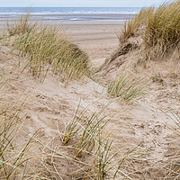 Buy canvas prints of Marram grass on the dunes at Formby by Jason Wells