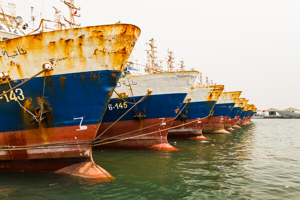 Fishing boats in Agadir harbour Picture Board by Jason Wells