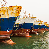 Buy canvas prints of Fishing boats in Agadir harbour by Jason Wells