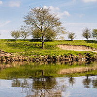 Buy canvas prints of Trees on the banks of the River Ribble by Jason Wells