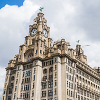 Buy canvas prints of Royal Liver Building panorama by Jason Wells