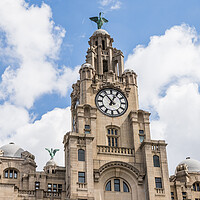 Buy canvas prints of Liver Birds overlooking the Liverpool waterfront by Jason Wells