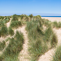Buy canvas prints of Sand dunes on Holkham beach by Jason Wells