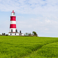 Buy canvas prints of Happisburgh lighthouse on top of a hill by Jason Wells