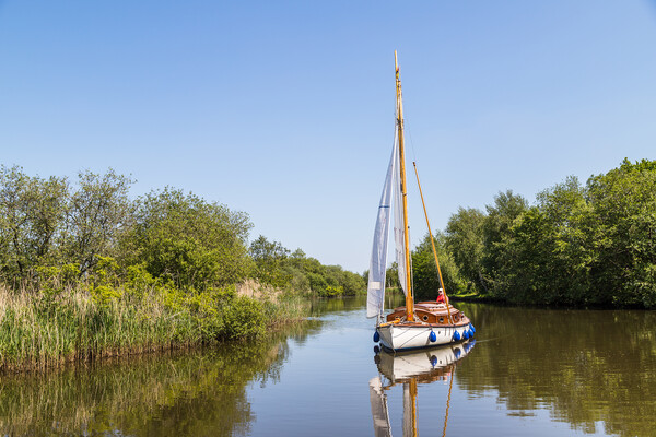 Sail boat on the Norfolk Broads Picture Board by Jason Wells