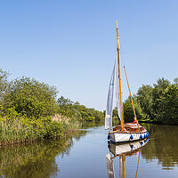 Buy canvas prints of Sail boat on the Norfolk Broads by Jason Wells