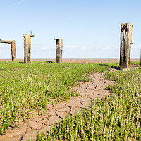 Buy canvas prints of Remains of the jetty at Snettisham beach by Jason Wells