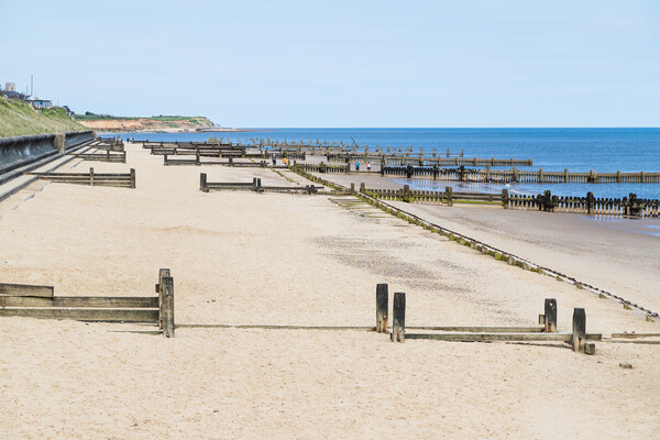 Wooden groynes line the beach at Cart Gap Picture Board by Jason Wells
