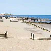 Buy canvas prints of Wooden groynes line the beach at Cart Gap by Jason Wells