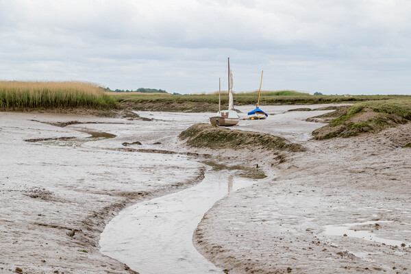 Low tide at Brancaster Staithe Picture Board by Jason Wells