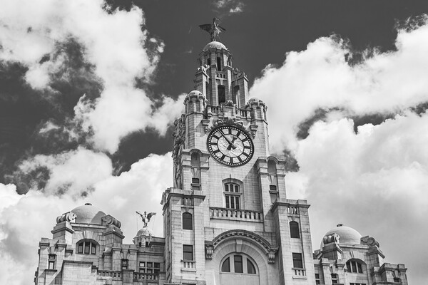 Liver Birds overlooking the Liverpool waterfront Picture Board by Jason Wells