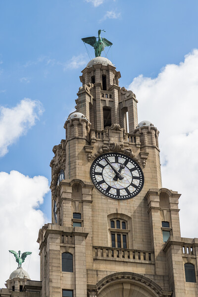 Portrait crop of the Liver Birds on the Liverpool skyline Picture Board by Jason Wells