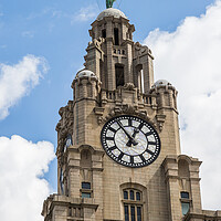 Buy canvas prints of Portrait crop of the Liver Birds on the Liverpool skyline by Jason Wells