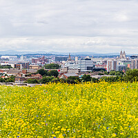 Buy canvas prints of Liverpool skyline over a flower meadow by Jason Wells