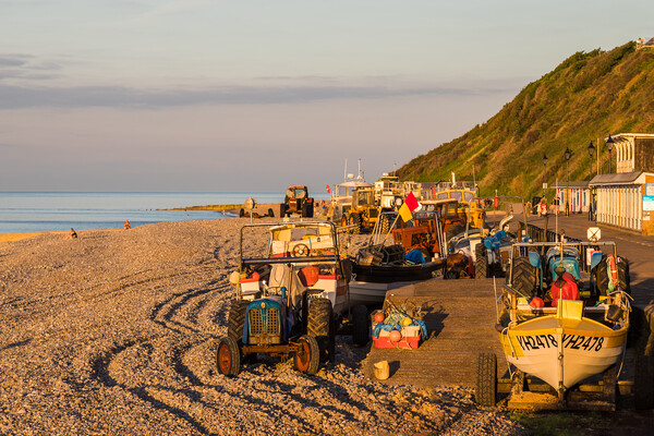 Cromer fishing fleet at sunset Picture Board by Jason Wells