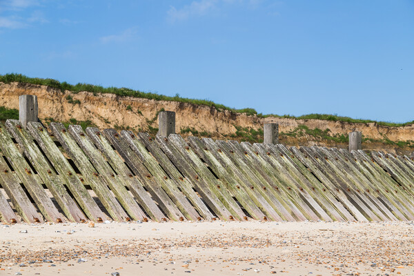 Happisburgh revetments under the cliffs Picture Board by Jason Wells