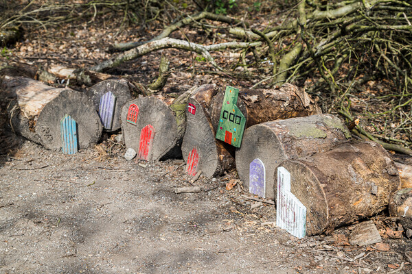 Fairy houses on the ground Picture Board by Jason Wells