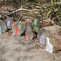 Buy canvas prints of Fairy houses on the ground by Jason Wells