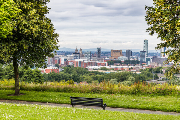 Bench overlooking Liverpool Picture Board by Jason Wells