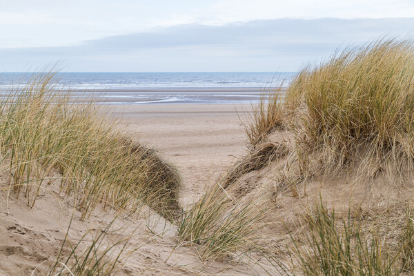 Irish Sea between the sand dunes Picture Board by Jason Wells