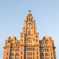 Buy canvas prints of Square crop of the Royal Liver Building by Jason Wells