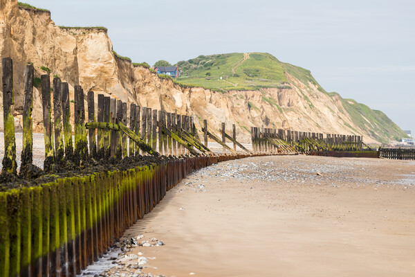 Sea defences protecting West Runton Picture Board by Jason Wells
