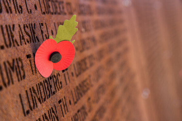 Poppies at International Bomber Command Centre Picture Board by Jason Wells
