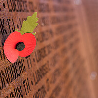 Buy canvas prints of Poppies at International Bomber Command Centre by Jason Wells