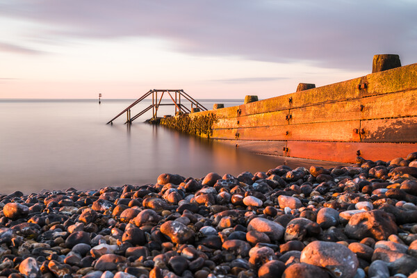 Groyne at Cromer in golden light Picture Board by Jason Wells