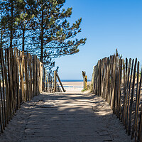 Buy canvas prints of Pathway leading to Wells next the Sea beach by Jason Wells